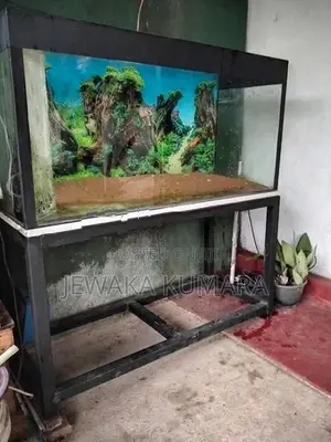 Fish Tank