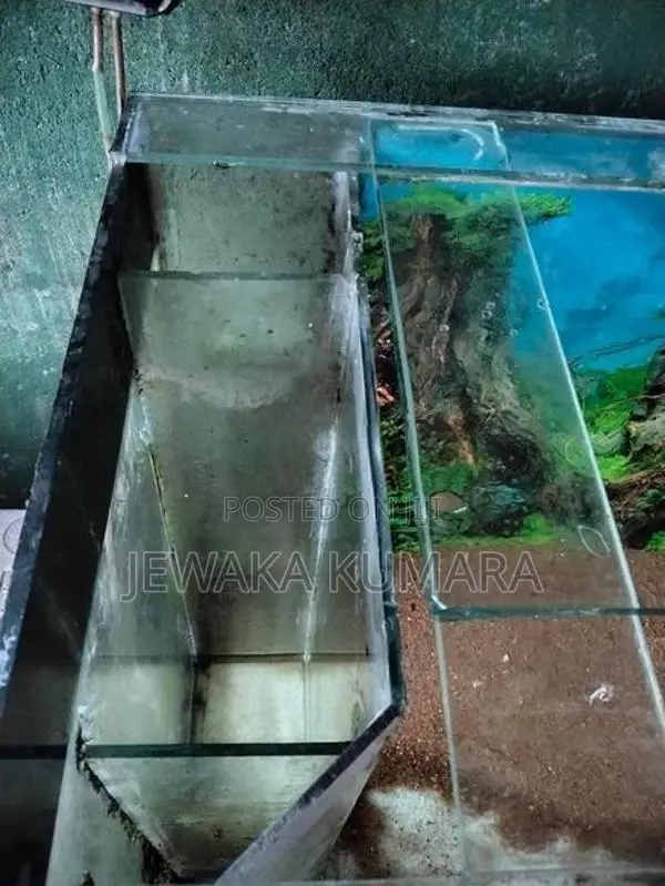 Fish Tank