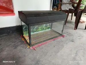Fish Tank