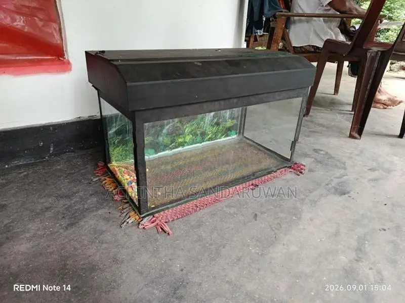 Fish Tank