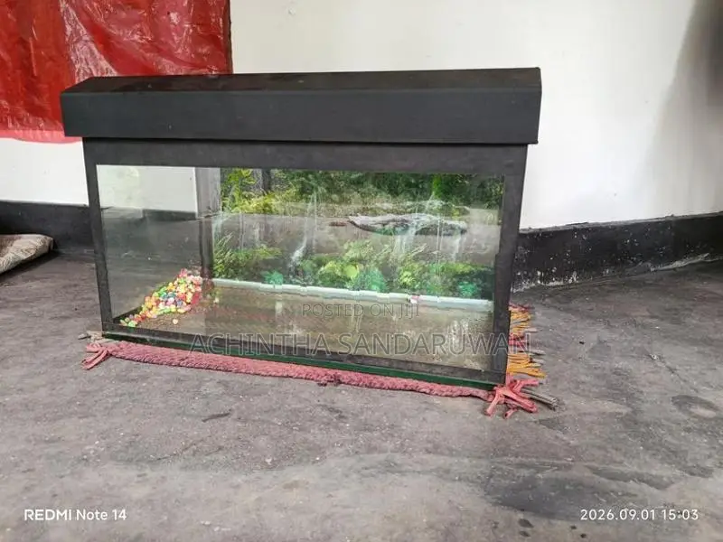Fish Tank