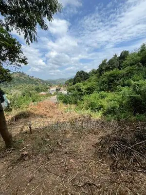 Valuable Land For Sale In Haragama Ampitiya