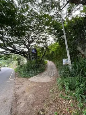 Valuable Land For Sale In Haragama Ampitiya