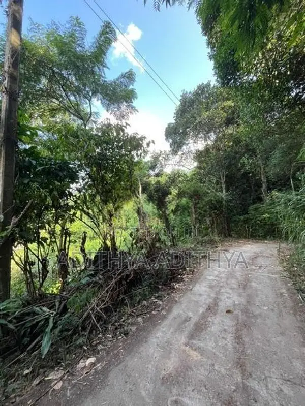 Valuable Land For Sale In Haragama Ampitiya