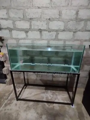 Fish Tank