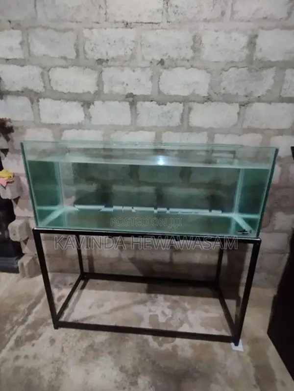 Fish Tank