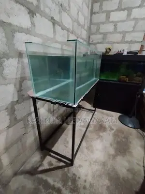 Fish Tank