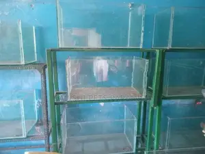 Fish Tank