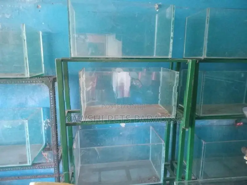 Fish Tank