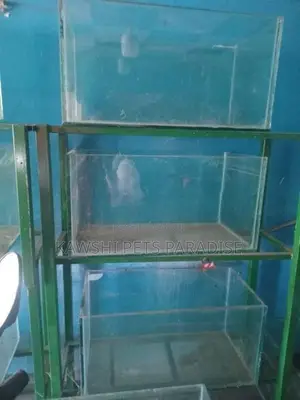 Fish Tank