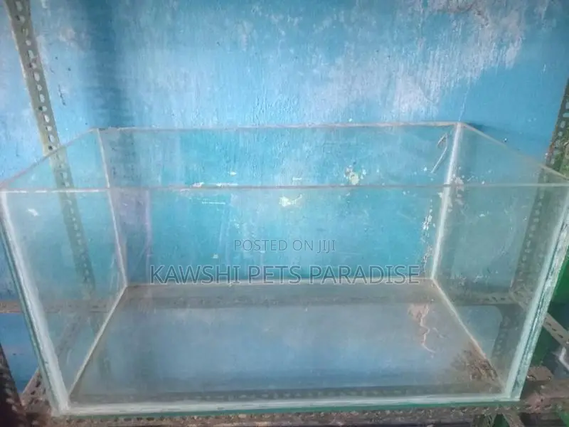 Fish Tank