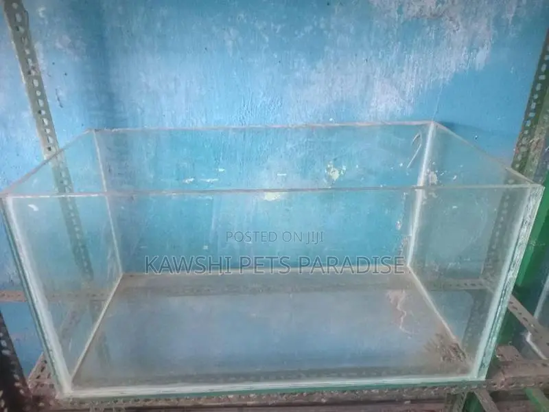Fish Tank