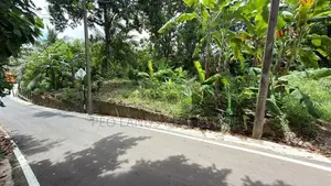 (DL1373) 13 Perch Land for Sale in Polgasowita