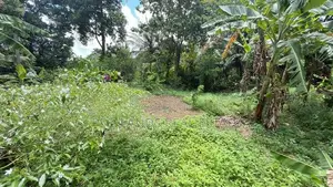 (DL1373) 13 Perch Land for Sale in Polgasowita