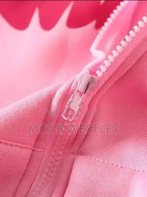 Pink Zip up Hoodie