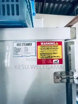 Gas Steamer
