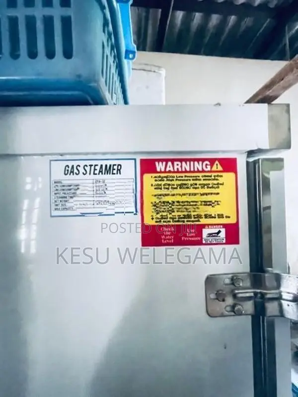 Gas Steamer