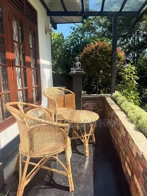 Cane Chairs