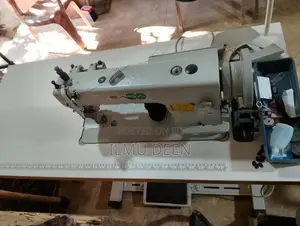 Sasa Model 0303