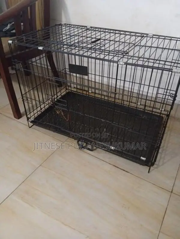Dogs Cage