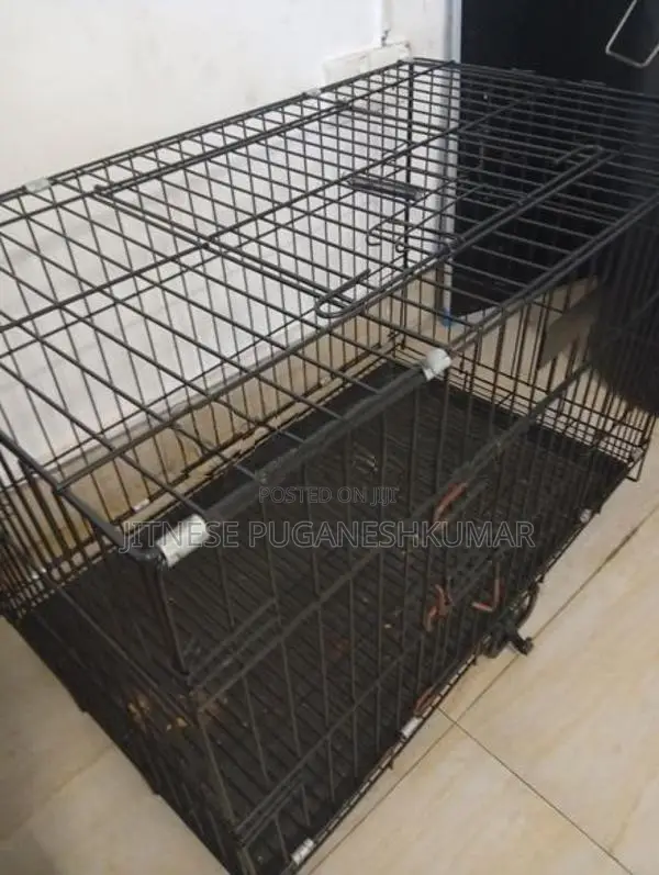 Dogs Cage