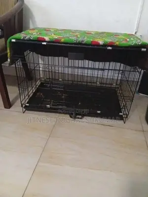 Dogs Cage