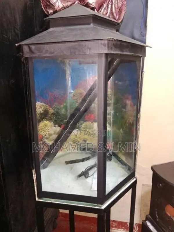 Fish Tank