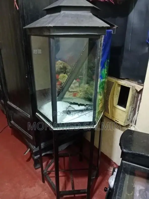 Fish Tank