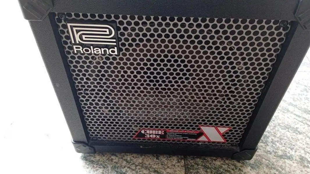 Roland Cube 30 X
