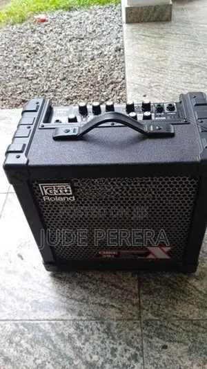 Roland Cube 30 X