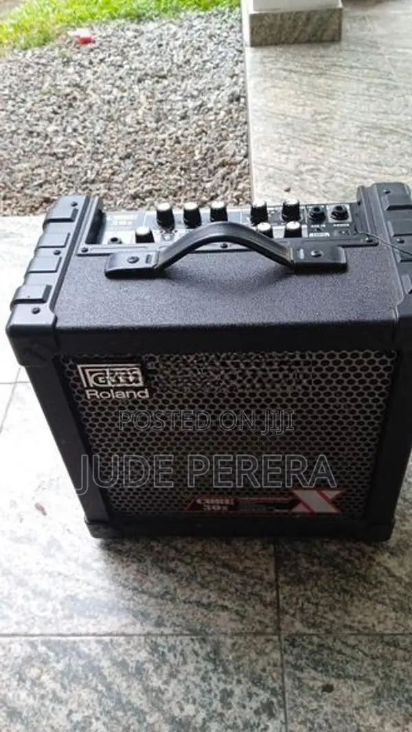 Roland Cube 30 X