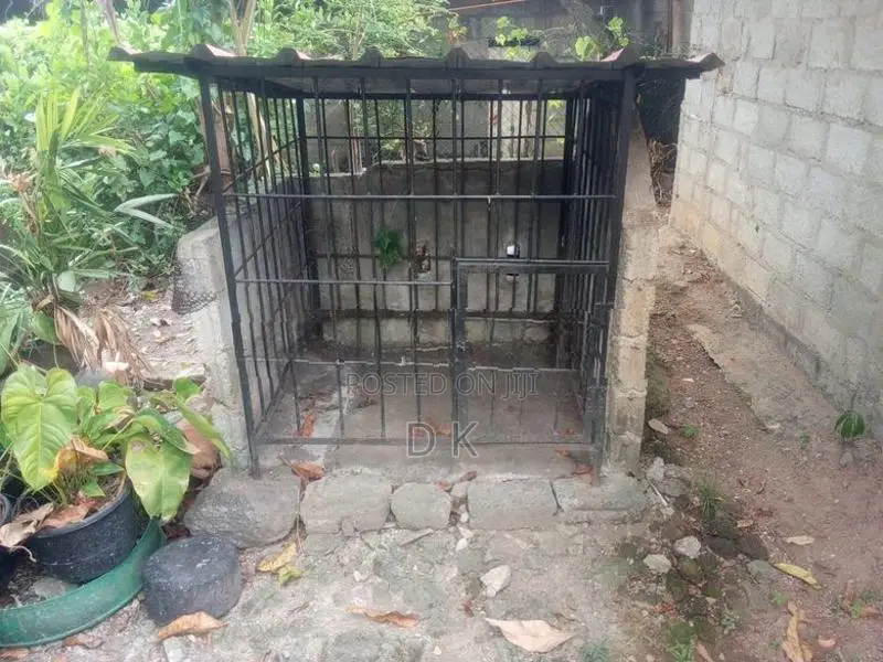 යකඩ වලින් කරවන ලද බලු කූඩුවක්