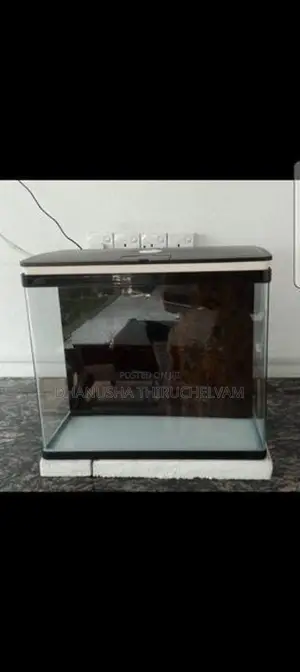 Fish Tank