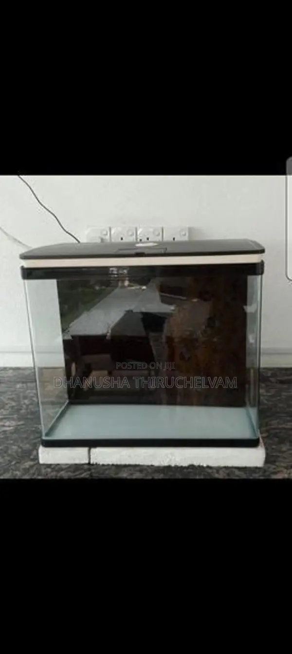Fish Tank