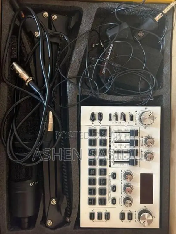 Professional Condenser Microphone
