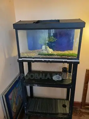 2 Feet Fish Tank