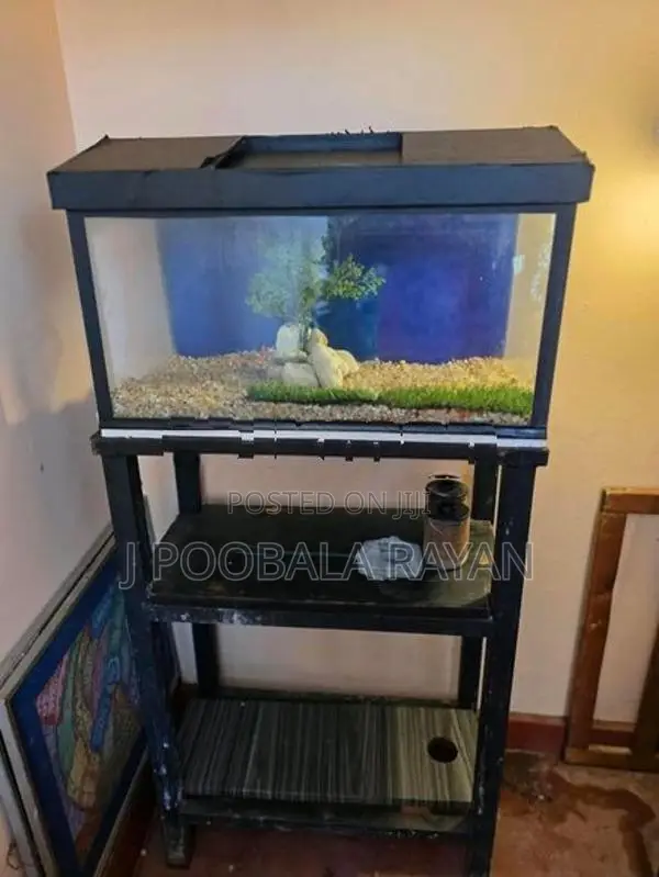 2 Feet Fish Tank