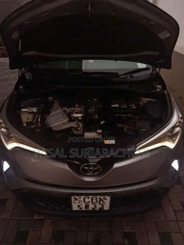 Toyota CHR 2018 SUV (Used)
