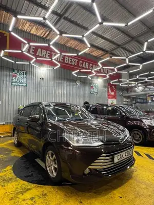 Toyota Axio G Grade 2015 Car (Used)