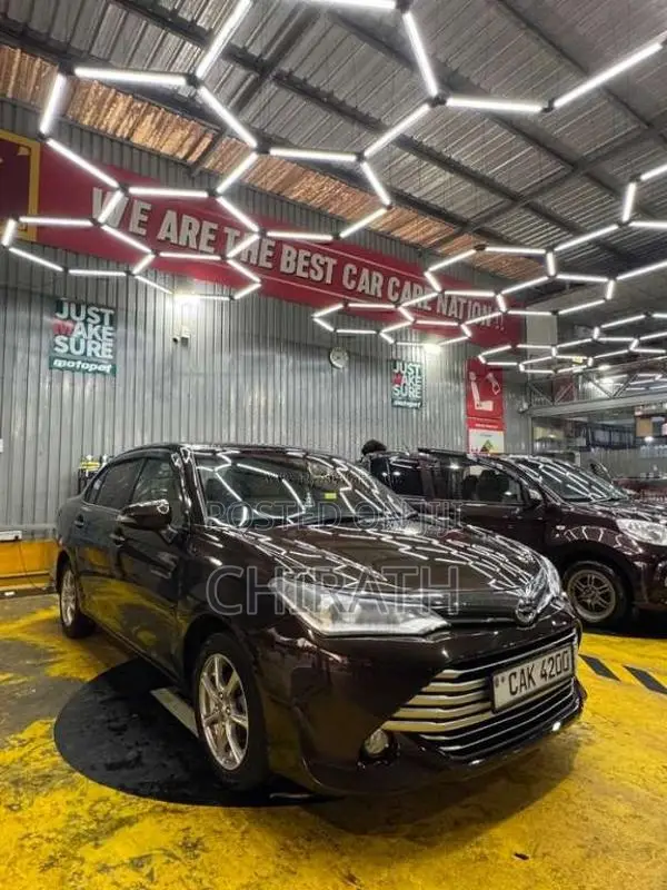 Toyota Axio G Grade 2015 Car (Used)