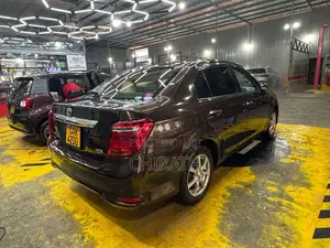 Toyota Axio G Grade 2015 Car (Used)