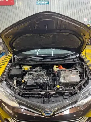 Toyota Axio G Grade 2015 Car (Used)