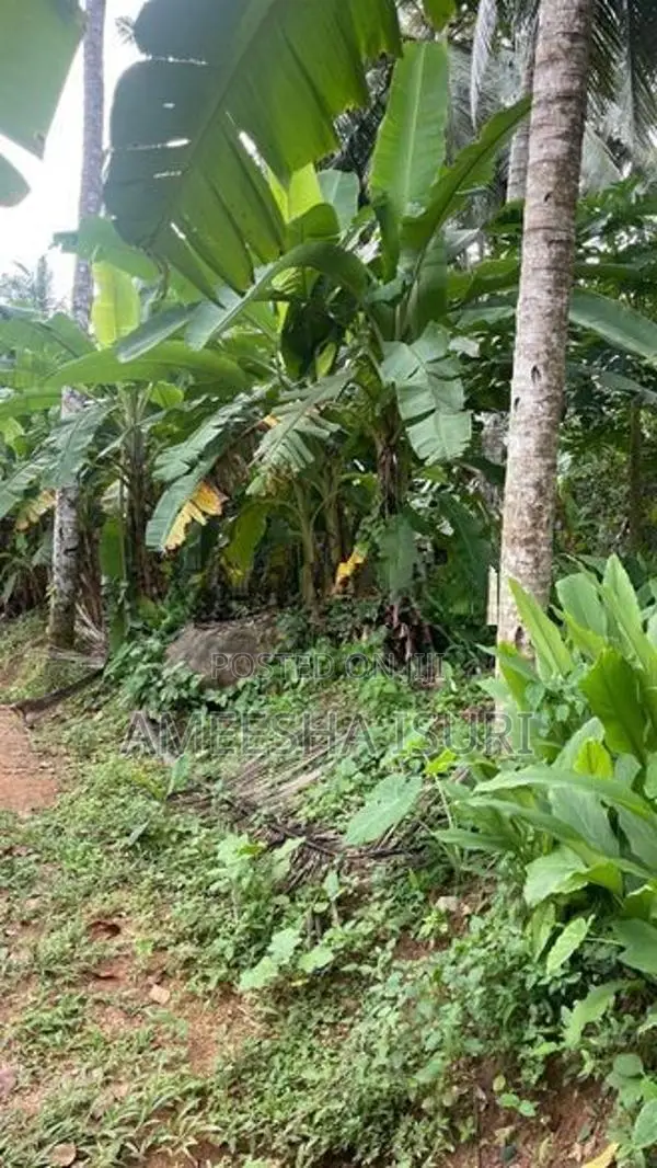 20 බිම් කොටසක් විකිණීමට Kosgama