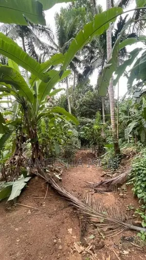 20 බිම් කොටසක් විකිණීමට Kosgama