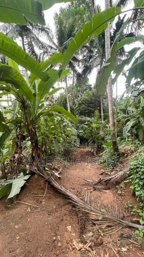 20 බිම් කොටසක් විකිණීමට Kosgama