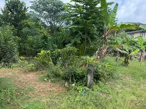 Land for Sale Arrupola