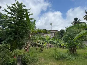 Land for Sale Arrupola