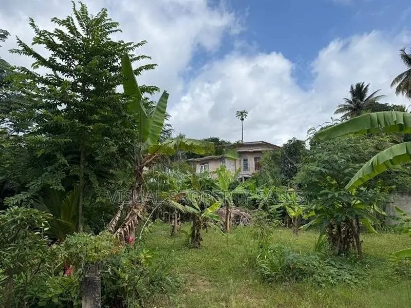 Land for Sale Arrupola