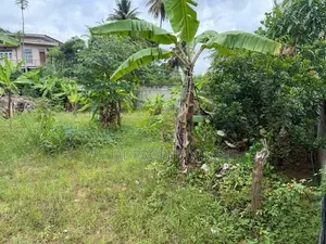 Land for Sale Arrupola
