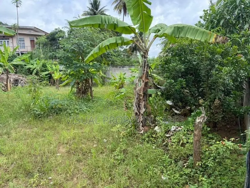 Land for Sale Arrupola